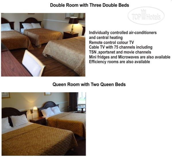Новые добавленные фото туристов Falcon Inn 2*