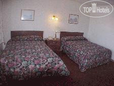 Новые добавленные фото туристов Willow Motel