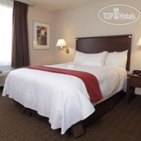 Best Western Plus Guildwood Inn 