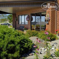 Comfort Inn Airport East 