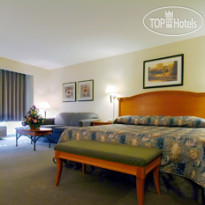 Best Western Plus Calgary Centre Inn 