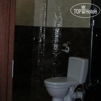 Majestic Hotel 