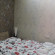 Tourist Tbilisi Hotel 