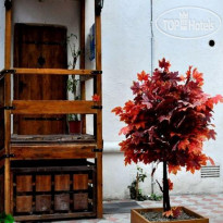 Tacima Guest House