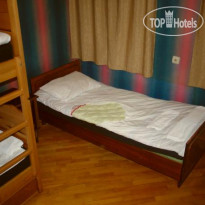 Shark Hostel 
