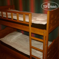 Shark Hostel 