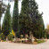Urban Park Hotels 
