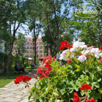 Riva Hotel