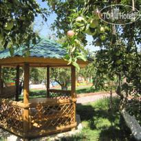 Eco Village Kaskasu
