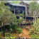 Shimba Rainforest Lodge 