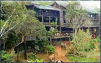 Фотографии отеля  Shimba Rainforest Lodge 4*