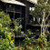 Shimba Rainforest Lodge 