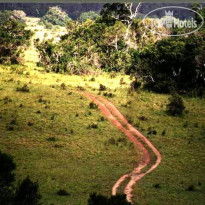 Shimba Rainforest Lodge 