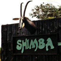 Shimba Rainforest Lodge 