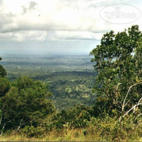 Shimba Rainforest Lodge 