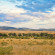 Sand River Masai Mara by Elewana 