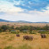 Sand River Masai Mara by Elewana 