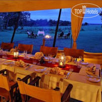 Elephant Pepper Camp Masai Mara by Elewana 