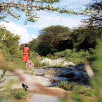 Mara Simba Lodge 