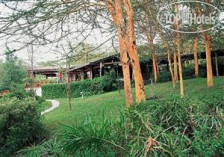 Sarova Lion Hill Game Lodge 4*