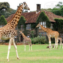 Giraffe Manor 