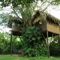 Parrot Nest Lodge 