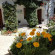 Villa Margarit Hotel  