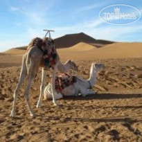 Bivouac Les Dunes De Tinfou 