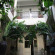 Riad O 