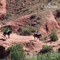 Terre D'Amanar 