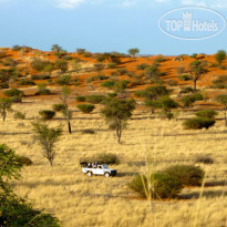 Zebra Kalahari Lodge 