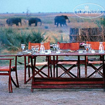 Chobe Savanna Lodge 