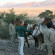 Desert Homestead and Horsetrails 