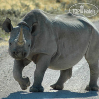 Etosha Village 