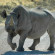 Etosha Village 