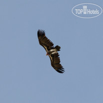 Etosha Village 