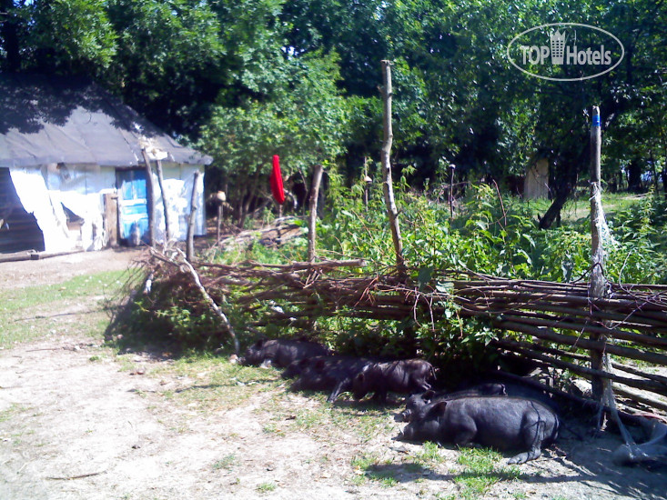 Photos NH Haiti El Rancho