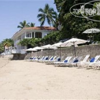 Horned Dorset Primavera 