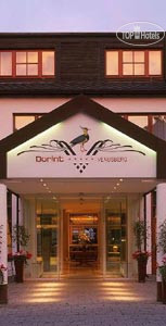 Фотографии отеля  Dorint Sofitel Venusberg 5*