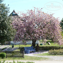 Dorint Strandhotel & Spa Ostseebad Wustrow 