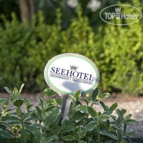 Seehotel Grossherzog Von Mecklenburg В парке отеля растут травы