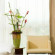 Best Western Hotel Berlin-Mitte 