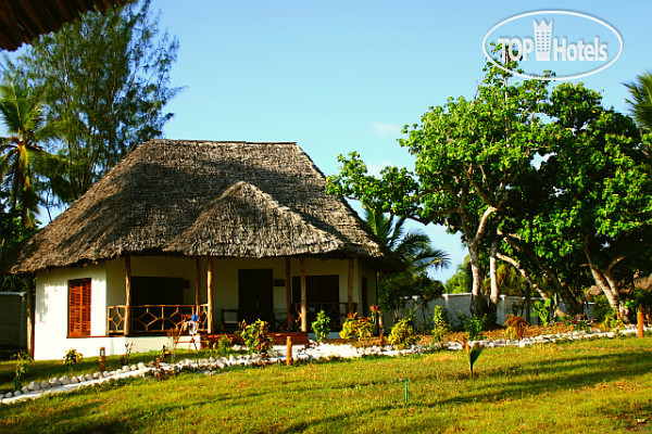 Фото Anna of Zanzibar