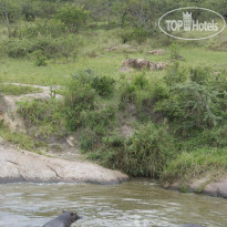 Serengeti Migration Camp by Elewana 