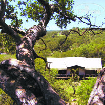 Serengeti Migration Camp by Elewana 