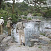 Serengeti Migration Camp by Elewana 