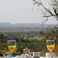 Serengeti Pioneer Camp by Elewana 