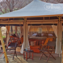 Serengeti Pioneer Camp by Elewana 