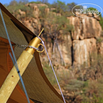 Serengeti Pioneer Camp by Elewana 