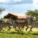 Serengeti Sametu Camp 